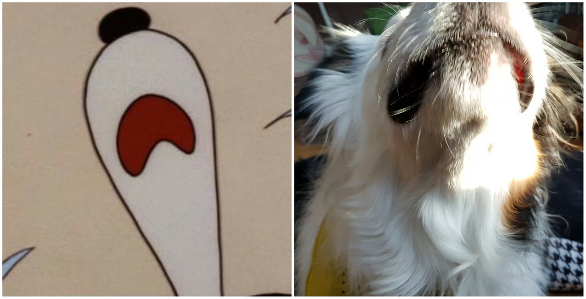 borderKyle's tweet image. Oh no I'm a Peanuts! 
#peanuts #snoopy