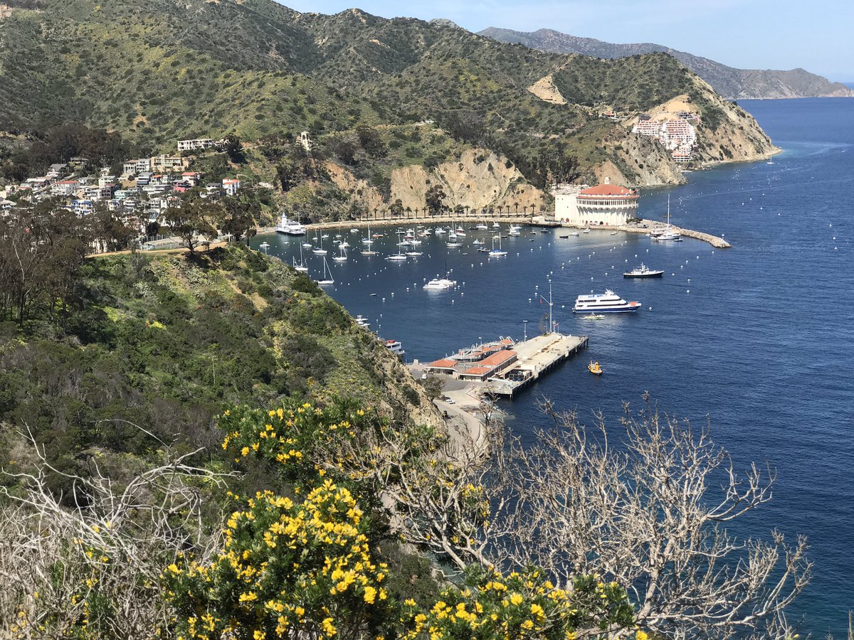 KaeryCastillo's tweet photo. Thank you for inviting me to your district outing! Beautiful day in Catalina π#SprintPartners https://t.co/XYWZYd5d0m