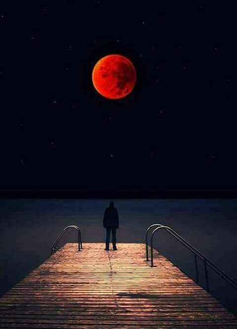 usama_ab's tweet photo. https://t.co/NNEI45JIYv