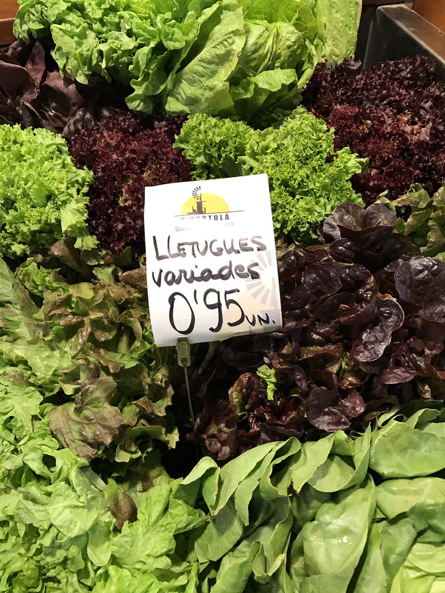 #lletugues de #Mallorca al <a href="/mercatdinca/">ᗰᗴᖇᑕᗩ丅 ᗪ’Ꭵᑎᑕ🏃‍♀️</a> <a href="/MercatOlivar/">Mercat de l'Olivar</a> i <a href="/MercatSantaCata/">MercatSantaCatalina</a> <a href="/AldiaIB3/">Al Dia IB3</a> <a href="/RafelGallego1/">Rafel Gallego</a> <a href="/DelCampALaMar/">Del Camp a la Mar</a> <a href="/TuitInca/">Tot d'Inca</a> #km0️⃣