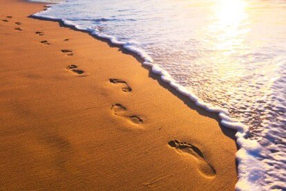 خبر عاجل tweet media