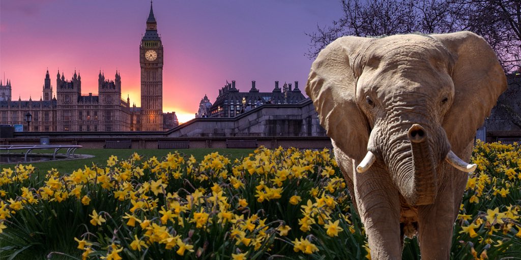 EachOtherUK's tweet image. The PM will trigger Brexit today and people are worried the 'Great Repeal Bill' could damage our constitution rightsinfo.org/elephant-room-…