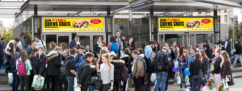 Salon Chiens Chats At Salonchienchats Twitter