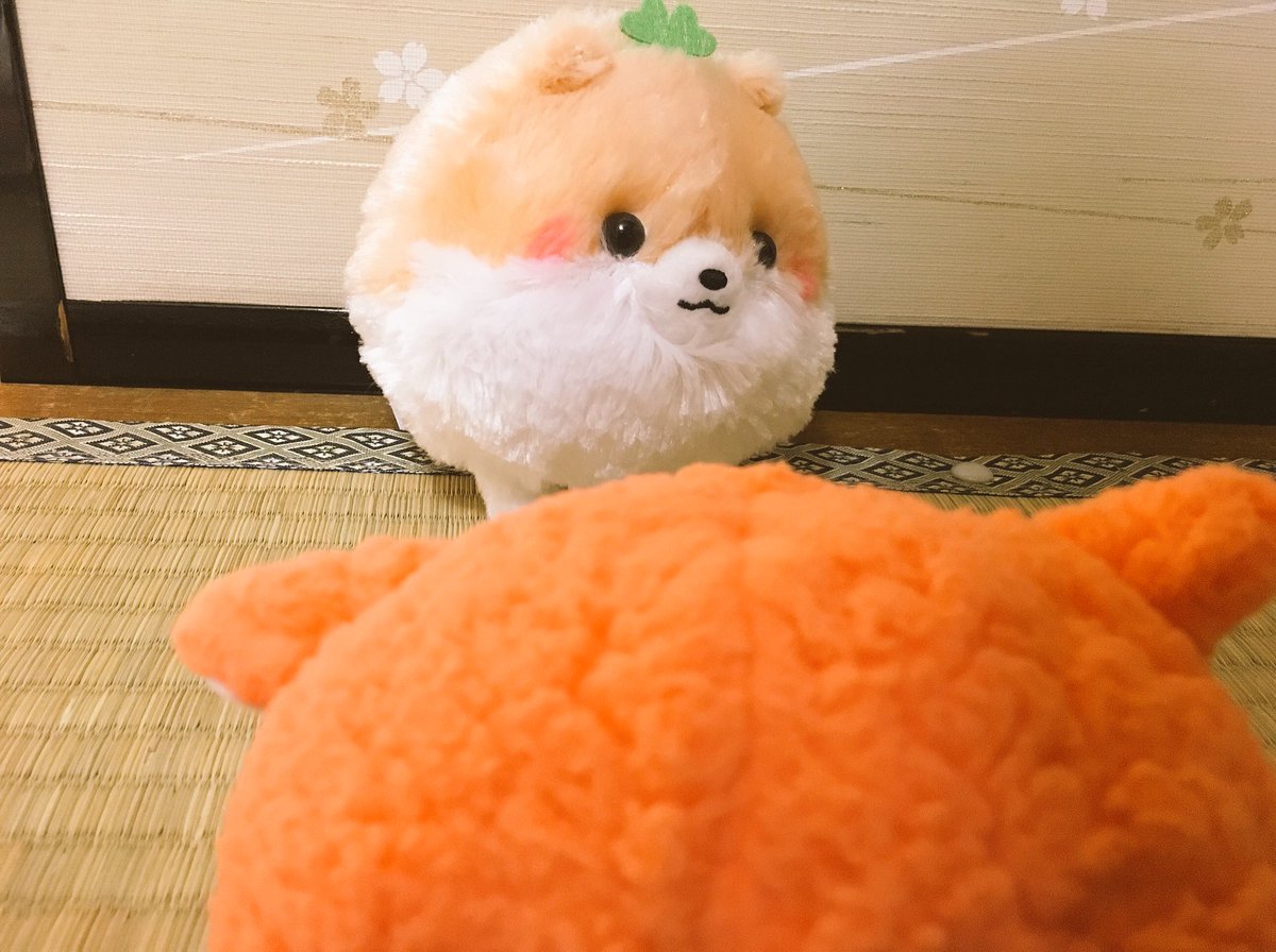kirisame061729's tweet photo. ふっふっふ(*ΦωΦ)実は密かに当選していたのです♪
こちらが届いたのはネクレポメラニアンカラー！めちゃくちゃ可愛い(*•ω•*)感謝です♪ありがとうございます(^^)
@net_de_crane 
@NdcBroadcasters 
#ネクレ#ネクレポメラニアン#ネクレ放送局 https://t.co/F6LJgmAhgr