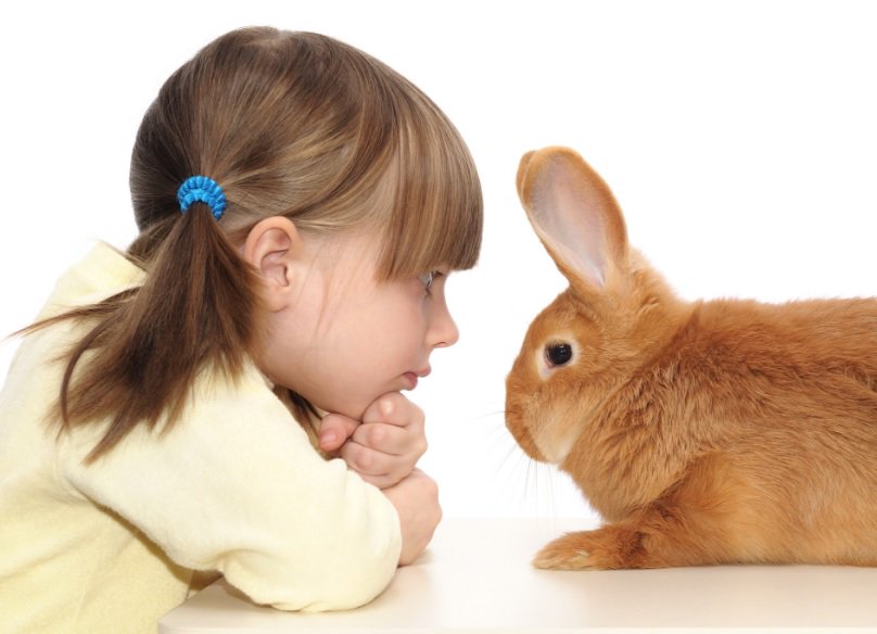 Samenwerken aan veiligheid?  Volg nu de BHV cursus bij DTS bit.ly/1faSLzy