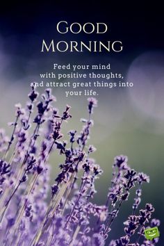 MgmResonance's tweet photo. #Goodmorning to all #World #UAE #Dubai #GCC
Have a nice day!!! https://t.co/IOvpz0mCK5