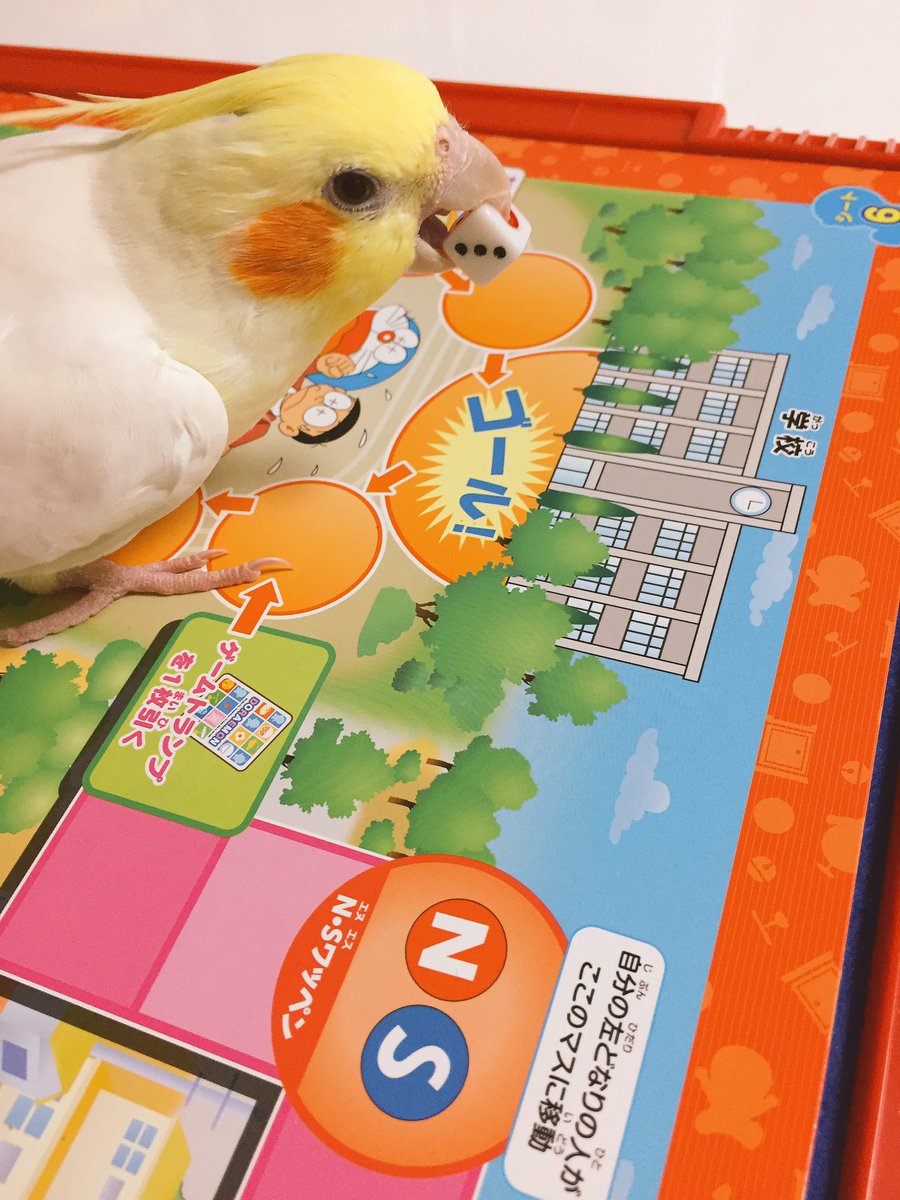 サイコロを持ってゴールに向かうマル 