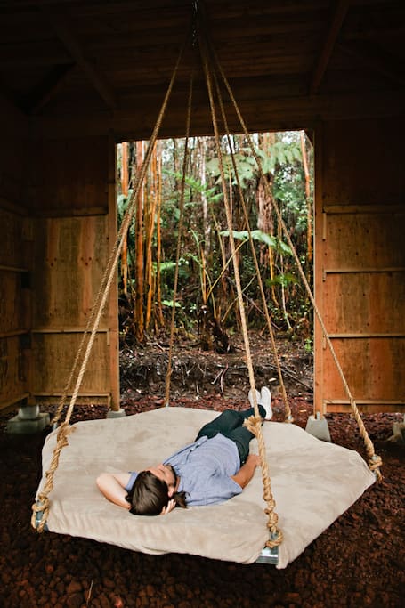 Themood4design's tweet photo. A #vacation  in  the #Hawaiian #jungle 
#interiors #airbnb #adventure #yellow #treehouse #
https://t.co/EFHsOGXwmA https://t.co/6BGyXyO4Jo