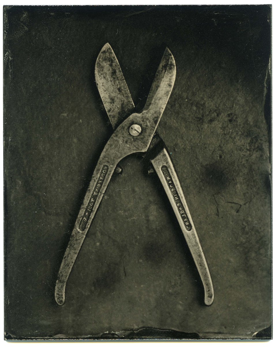 C12Raffle's tweet photo. Stunning wet plate collodion by Guy Brown went to Adele from @CalumetPhotoUK @C12Raffle @ukphotoshow 2017 in aid of @TheDPSphoto https://t.co/Gj9TsRtW8d