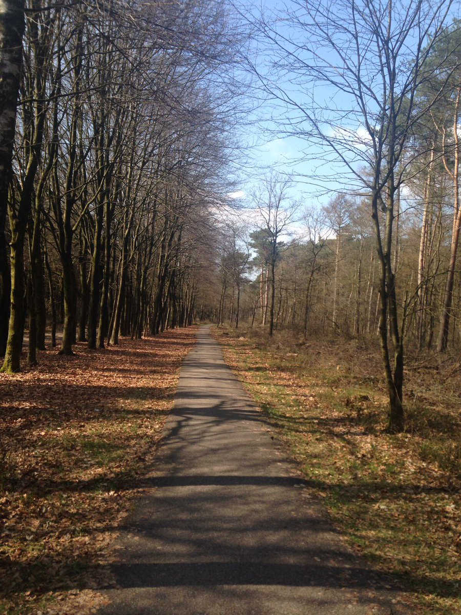 hotelbilderberg's tweet photo. Klavertje Vier Arrangement - De vernieuwde #fietsroute vanaf ons hotel naar @DeBuunderkamp leidt je door een prachtige #omgeving! 🌳🚲 https://t.co/HDl82E7TNY