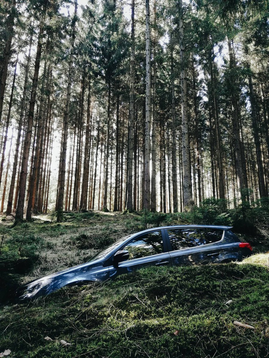 Operation_Panda's tweet photo. Having some fun with a @toyota_europe #rav4 in the #wilderness #carphotography https://t.co/0772xi5D0G