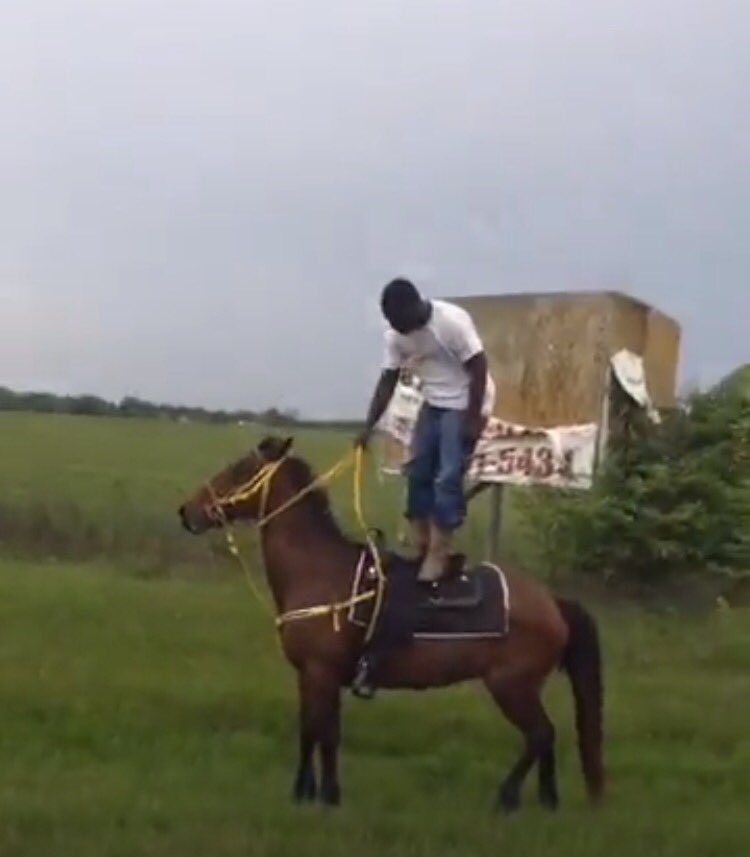 chapoperkins's tweet photo. I'm addicted to this country life 🤘🏾 https://t.co/dOMX7wCQT7