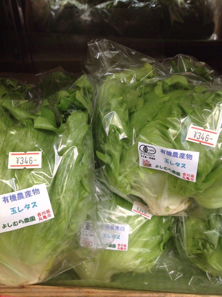 クレヨンハウス Sur Twitter 東京店オーガニック野菜市場 香川県はよしむら農園さんから新鮮野菜が続々入荷中です レッドリーフレタス やグリーンレタス 玉レタスやルッコラにケール 春菊など もちろん全て有機栽培ですよ クレヨンハウス Sur Twitter 東京店オーガニック野菜市場 香川県はよしむら農園さんから新鮮野菜が続々入荷中です レッドリーフレタス やグリーンレタス 玉レタスやルッコラにケール 春菊など もちろん全て有機栽培ですよ