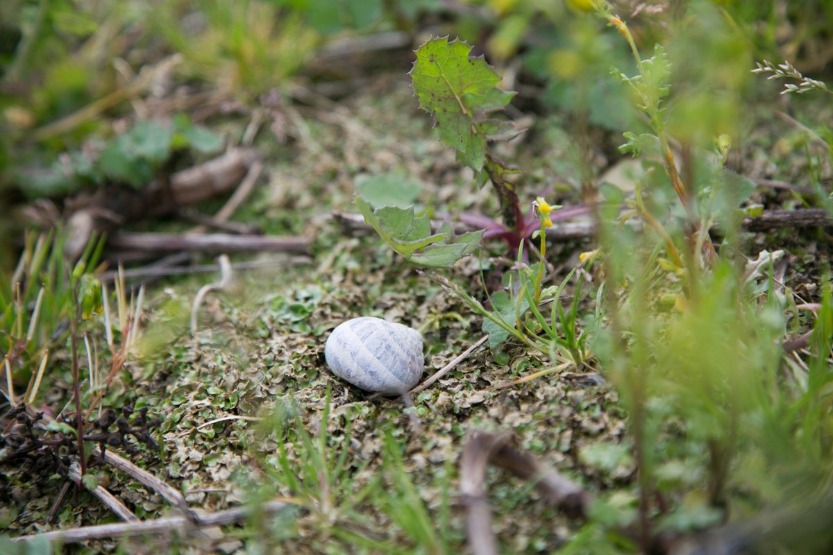 Un suelo lleno de texturas, que se trasladan al paladar en aromas y sabores. #bodegaK5 #KPilota #K5