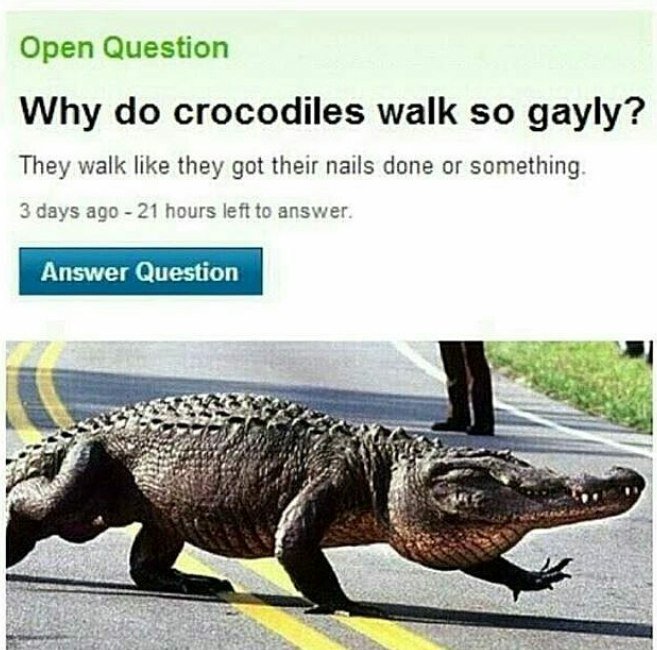 C8EdYqaX0AELHP7.jpg