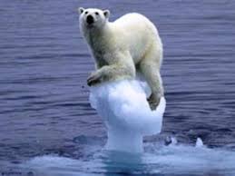 MarkHamill's tweet image. "May the FACTS be with you."- Bill Nye, the Science Guy (3/28/17) #ProtectOurPlanet