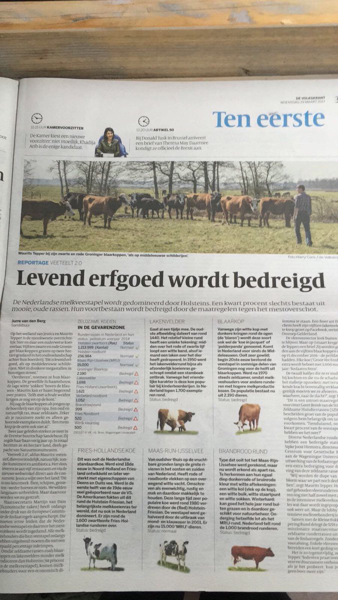 levenderfgoed's tweet photo. Fijn dat vandaag ook in de @volkskrant uitgebreid aandacht is voor het probleem rond het @levenderfgoed en fosfaat! https://t.co/hZJr6VuChu