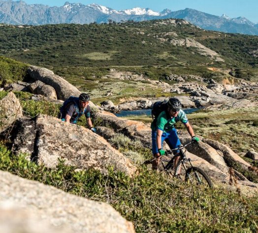 Trails In Motion MTB tweet media