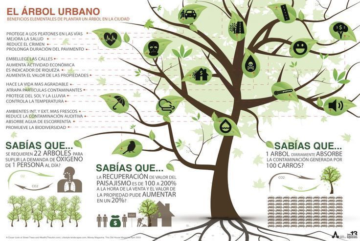 Ecogranjero's tweet photo. se necesitan 22 arboles para satisfacer la demanda de oxígeno de 1 persona al día. di no a la tala de arboles! https://t.co/hQ4dpY1XNH