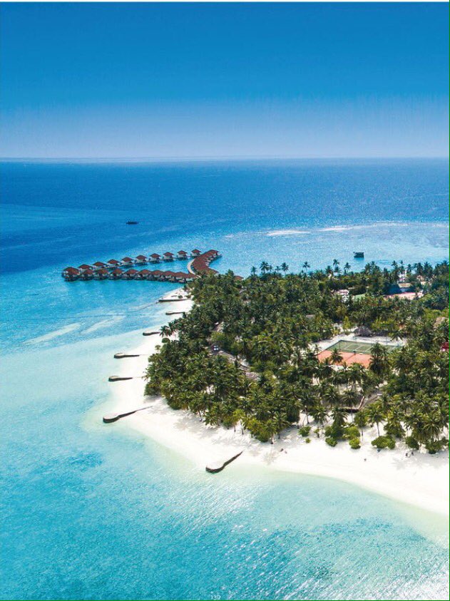 PaolaMassimo_'s tweet photo. Per tutti i buongustai in ascolto ecco il nostro #paradiso quotidiano! #viaggi #maldives #alimathà #vacanze #famiglia #relax #diving https://t.co/oOA19Zpt8g