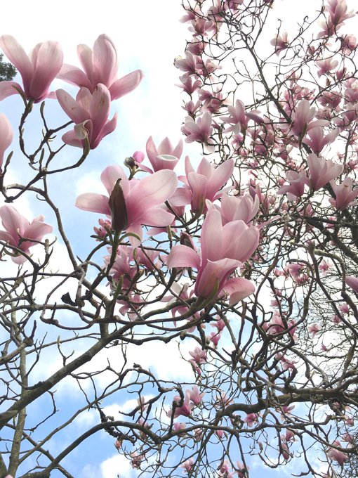 @missellabell West Sussex yesterday was stunning https://t.co/iozHIY1Fyz<a class="tags" target="_blank" title="On Twitter" href="/?out=eyJ0eXAiOiJKV1QiLCJhbGciOiJIUzUxMiJ9.eyJpYXQiOjE3MjUxMTY4NjgsImlzcyI6InR3cG9ybnN0YXJzLmNvbSIsIm5iZiI6MTcyNTExNjg2OCwiZXhwIjoxNzU2NjUyODY4LCJyZWRpcmVjdF91cmwiOiJodHRwczovL3R3aXR0ZXIuY29tL21pc3NlbGxhYmVsbCJ9.vho5NwgXr7VOn1kf1KGG6479iagi00pin8OCcUeBBywqnRRfZsCDkGCQQiJ7NcDSx7avpB01Ulnmkveb2BmIzQ">@missellabell</a><a href="/tag/marcmakescomics"class="tags"><span>#marcmakescomics</span></a>