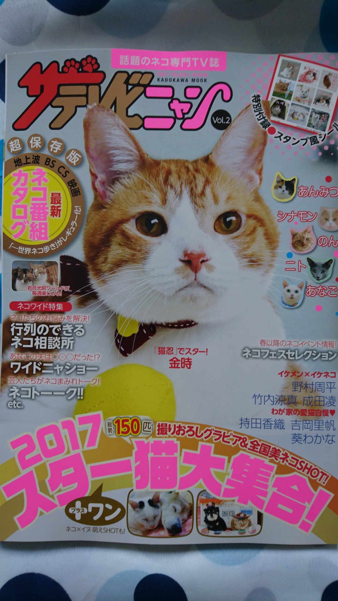 桃次郎 V Twitter もっちー リヴァイ載ってます リヴァイも有名人 いや有名猫 になりましたね 桃次郎 V Twitter もっちー リヴァイ載ってます リヴァイも有名人 いや有名猫 になりましたね