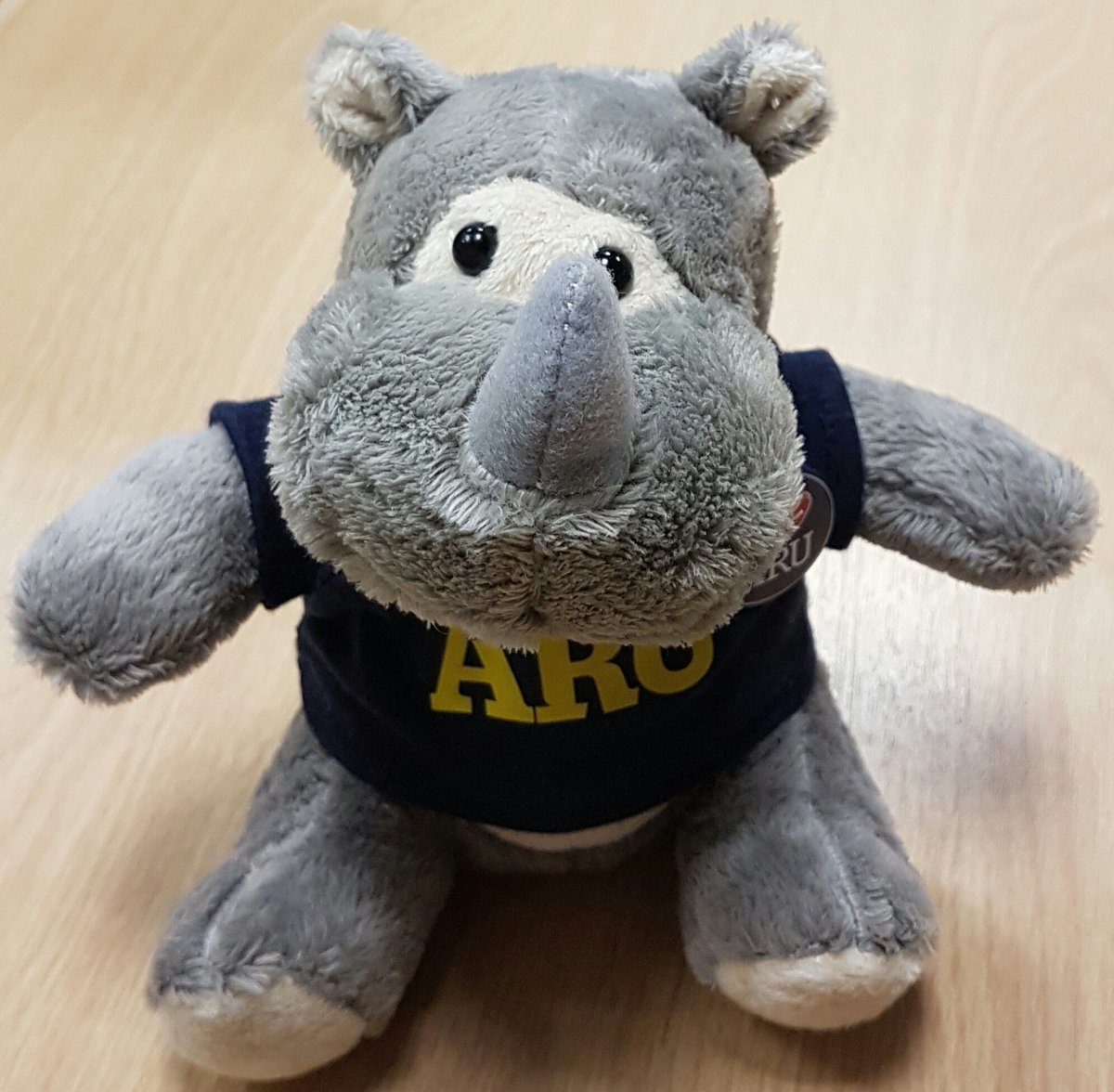 ARULibrary's tweet photo. Could you have won your very own Tiny Ruskin? Check your student emails to see if you're a lucky winner #LibraryRewards https://t.co/MhPTE6g8is