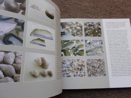 WestCoastFossil's tweet photo. This Fri 31 March listen to John Parkington: Shell Middens as Historical Evidence - Replay of #Culture #Food #prehistory
BOOK: 022 766 1606 https://t.co/DOdCPD65L1