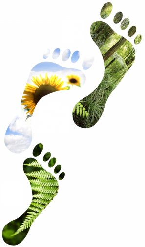 szztct's tweet photo. Reduce your carbon footprint by switching to LED lights today 🌐#LED #lightersteps #szztct #sustainableliving #earthlove https://t.co/0eoEJV88zi