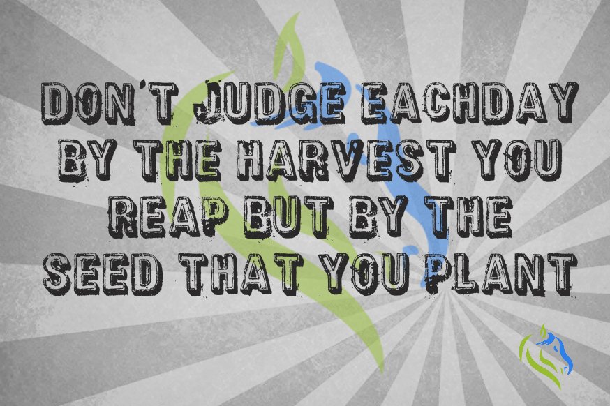 Burak_Solutions's tweet photo. #QouteOfTheDay 
#thoughtfortheday

Follow us on FB for updates: https://t.co/E8GKjZKV85 https://t.co/xm8776xNXB