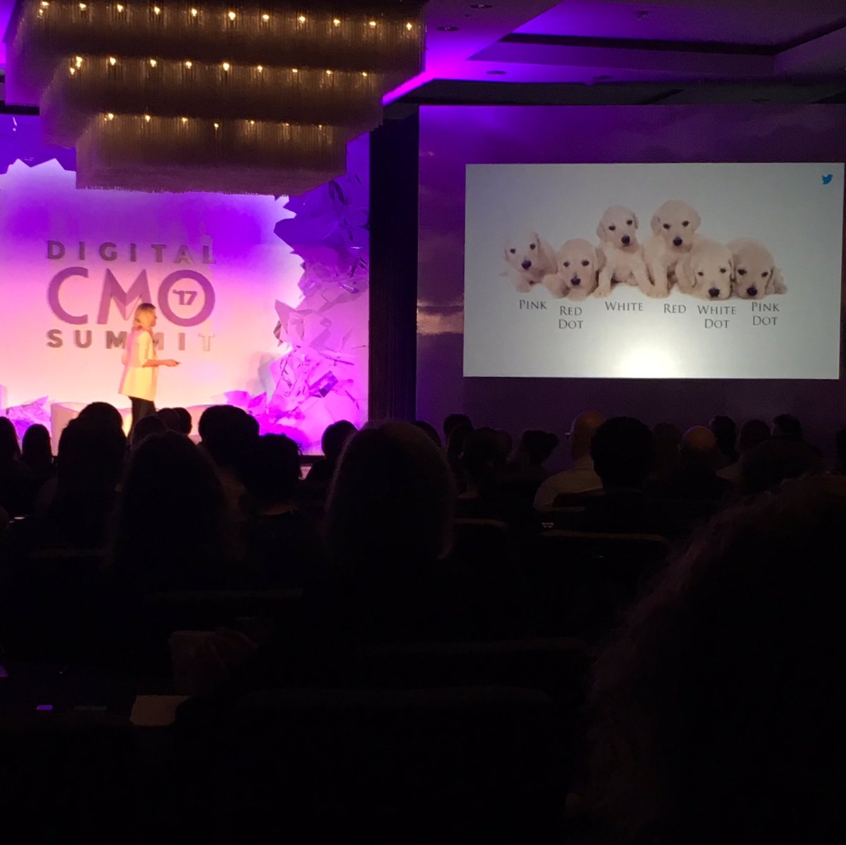scamarda's tweet photo. @sminero of @Twitter you had me puppies! Creating engaging content that attracts and pulls you in. #digitalcmosummit #gettingdigitalright https://t.co/yP2zeYaaxR