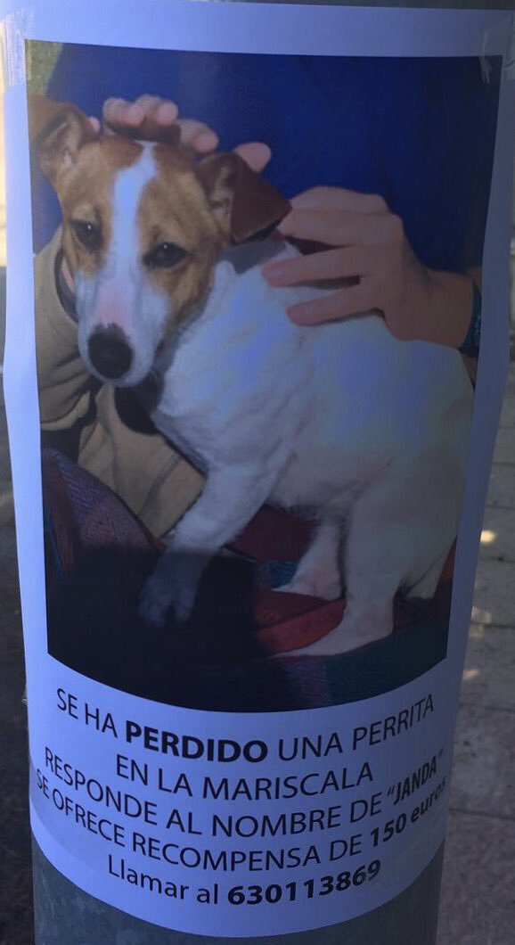 SI LO COMPARTÍS HACÉIS UN GRAN FAVOR. "JANDA" SE HA PERDIDO EN <a href="/La_Mariscala/">LA MARISCALA</a> VAMOS A INTENTAR RECUPERARLA !!!!

 GRACIAS A TOD@S