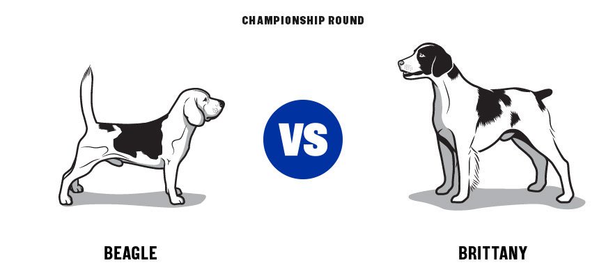 gardenandgun's tweet photo. Our #dogbracket is coming to an end with these two breeds. Which one leads the pack? https://t.co/lrlE8Maom1 https://t.co/StDzNmo9AR