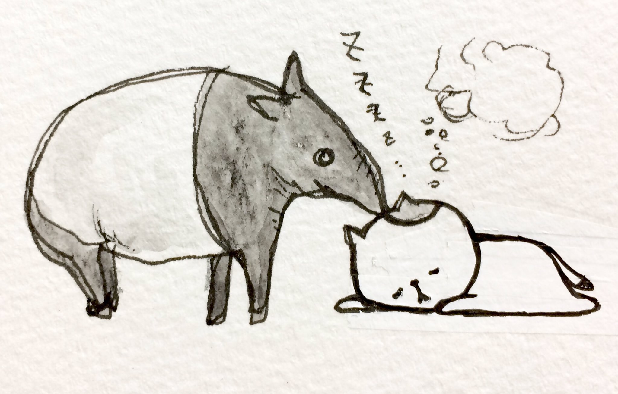 Twitter 上的 おこにゃん 夢いただきます モグモグ 夢喰い バク イラスト 猫 お絵かき らくがき 1日1絵 T Co Gb4uug1ojx Twitter Twitter 上的 おこにゃん 夢いただきます モグモグ 夢喰い バク イラスト 猫 お絵かき らくがき 1日1絵 T Co Gb4uug1ojx Twitter