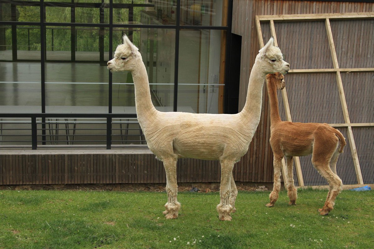 Twitter 上的Horniman Museum and Gardens: Twitter 上的Horniman Museum and Gardens: