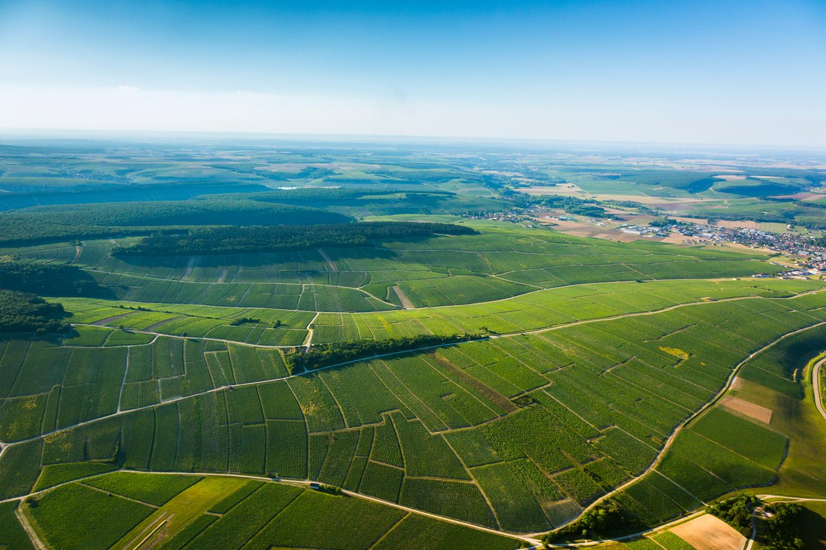 VinsdeBourgogne's tweet photo. #BIVBRDV Chablis 1er Cru Montmains vu du ciel

📷@aurel_ib https://t.co/lFCYyzRZSx