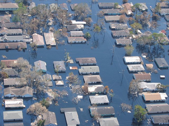 WWFespana's tweet photo. La lucha por el clima es irreversible. WWF reclama a Trump que cumpla los compromisos internacionales de EEUU https://t.co/9sOkkqQnL4 https://t.co/oeJCuUWJPG