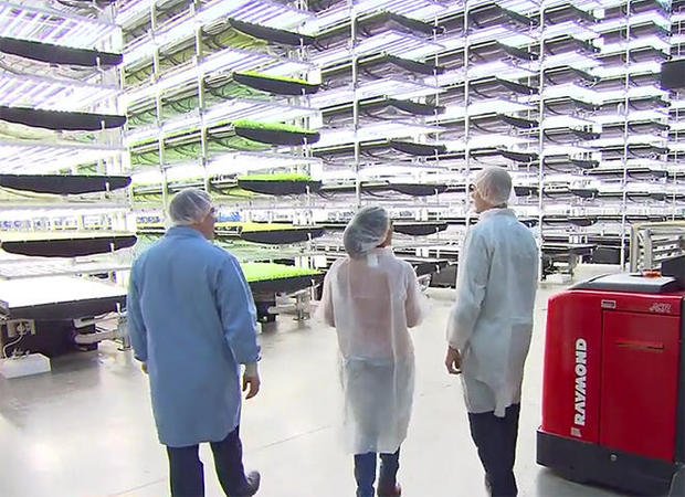 #AgTech: The growing trend of #VerticalFarming
bit.ly/2mP6HJo
#FoodInnovation #FoodTech #Hydroponics #UrbanFarming