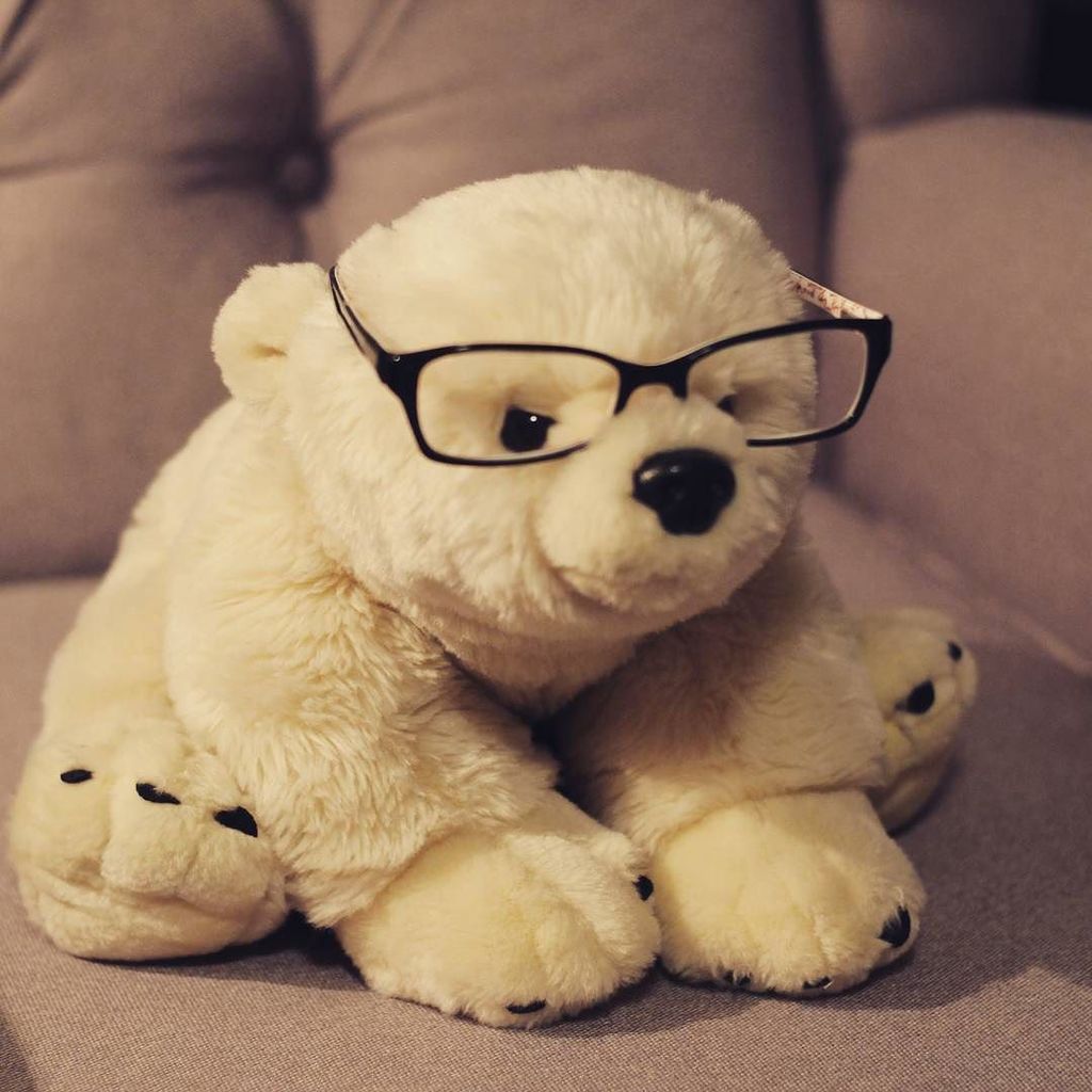 Buddy_TheBear's tweet image. Getting ready to read something... but what? What would you recommend 😀?
#BuddyTheBearAdventures  #reading  #readingtime