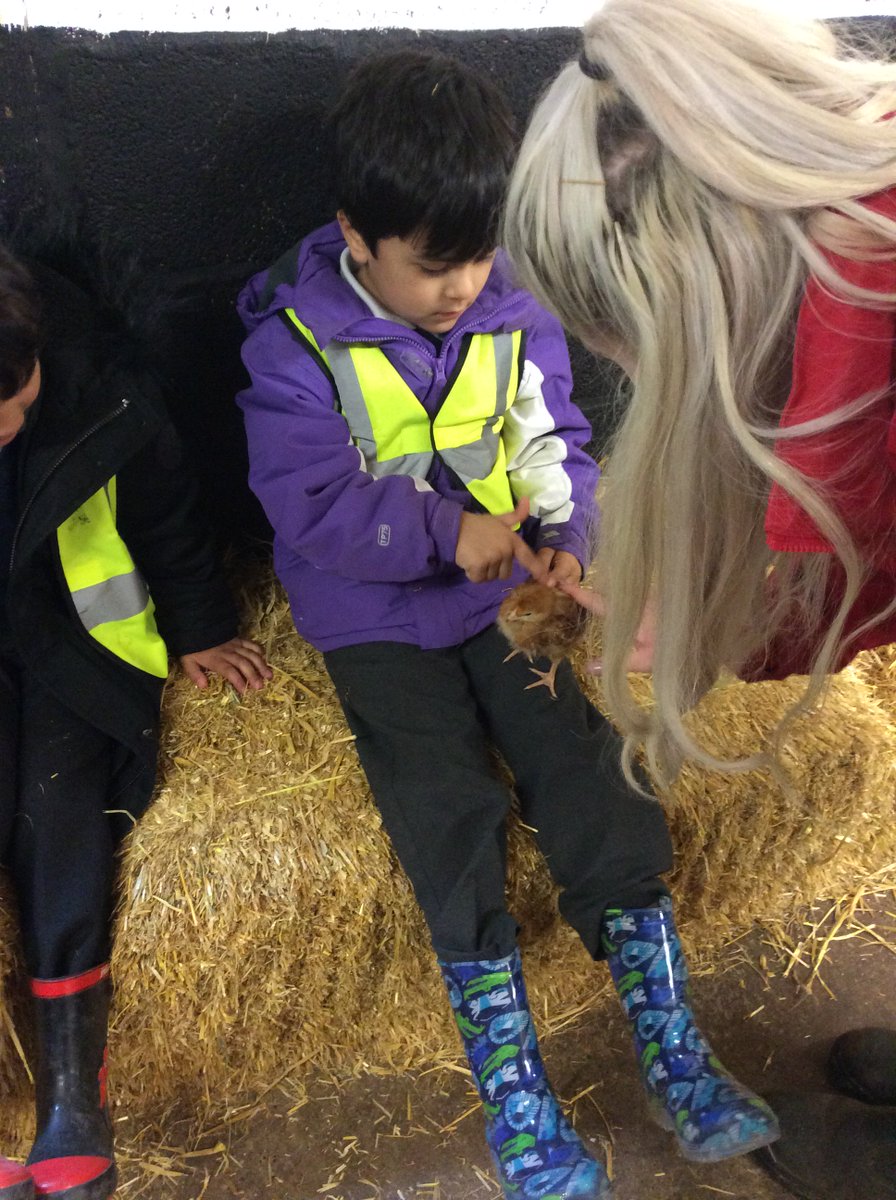 Five Spires Academy tweet media