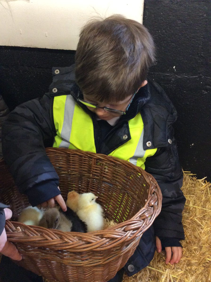 Five Spires Academy tweet media