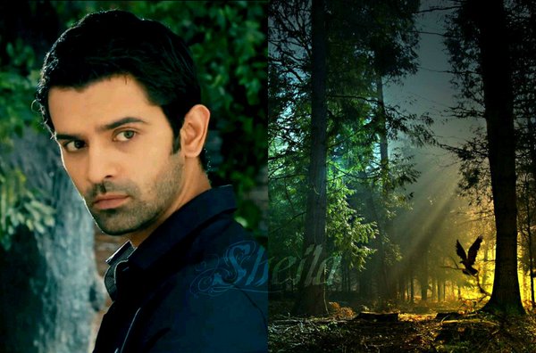 galinasol2's tweet photo. #SanayaIrani &amp; #BarunSobti @BarunSobtiSays #SARUNtogether in a #newsarunshow @StarPlus  @hotstartweets @StarTVNetwork @starindia @TeamSarun https://t.co/HESXI7DGEq