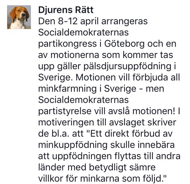 charmingdays's tweet photo. @socialdemokrat, kan någon snälla förklara varför jag ska vara annat än sjukt besviken? https://t.co/CWfz1FKQdi