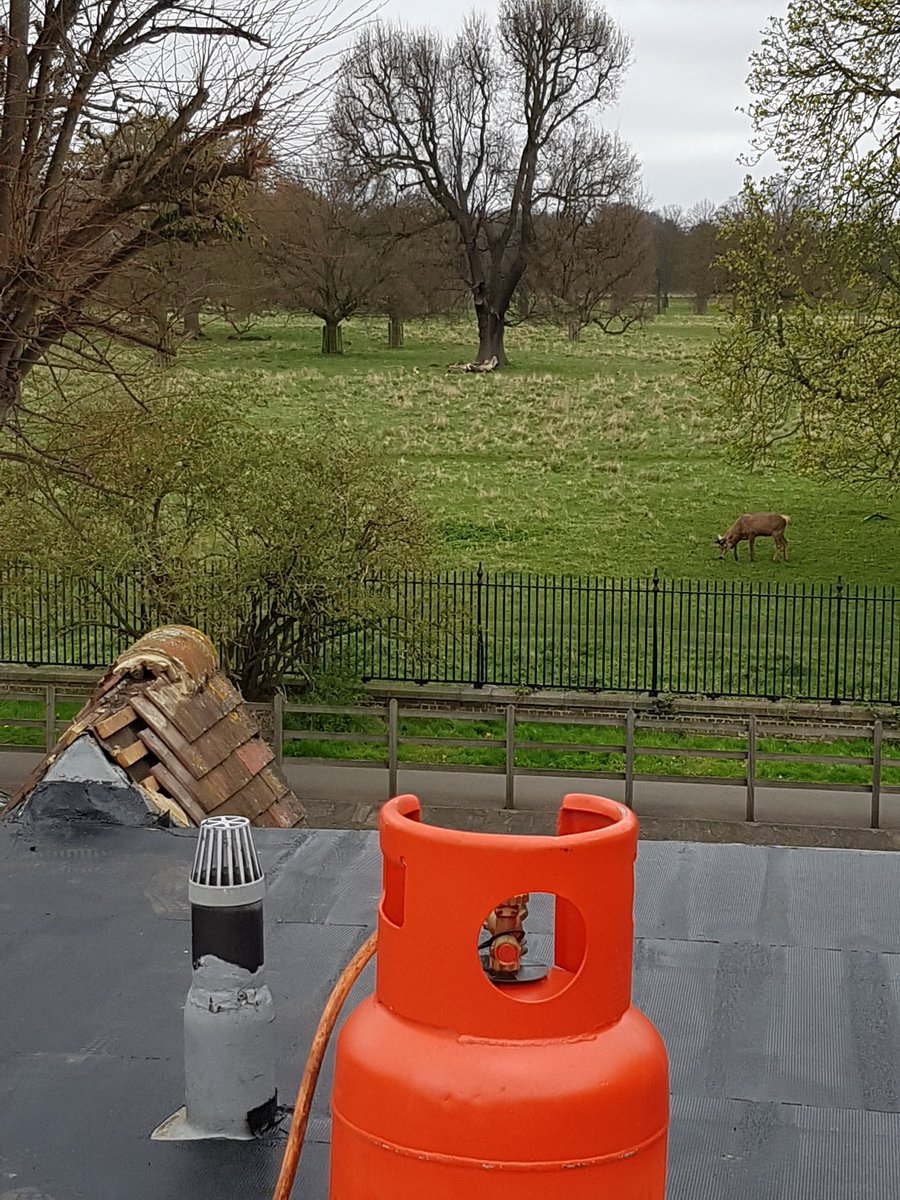 RoofsInKingston's tweet photo. Not a bad view to lay a flat roof too!! https://t.co/PcO4XWxwi4