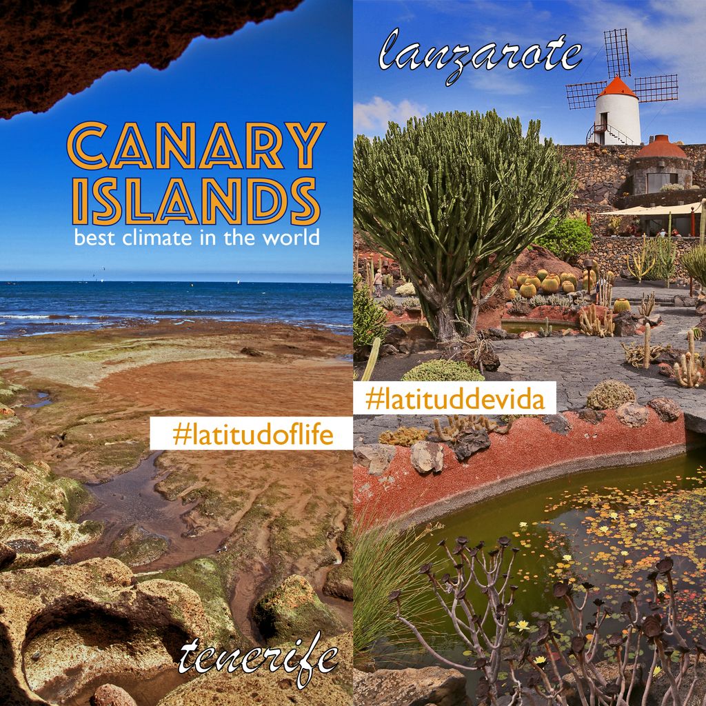 walk_imaginary's tweet photo. Discover #canarias and find a place that you can call #home.
 #latituddevida #latitudoflife #bestclimateintheworld https://t.co/k8qYEfKUr3