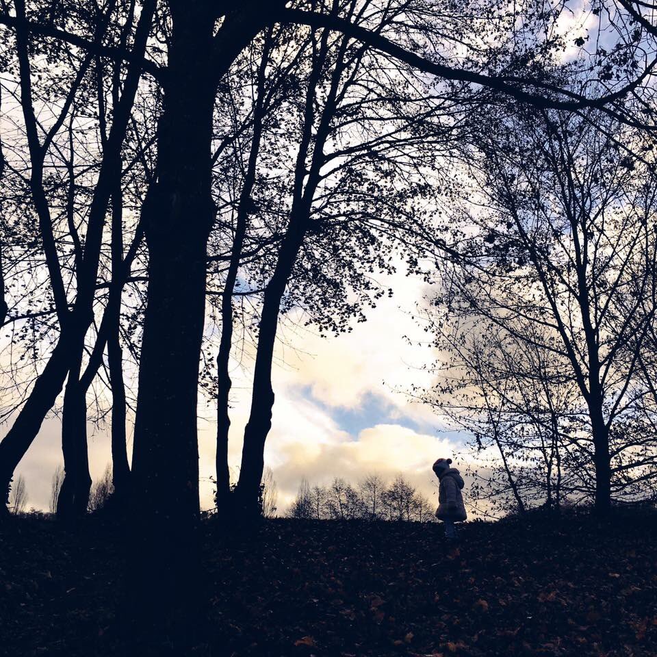 passion_isa's tweet photo. #Photographie#LoveNature 
#AWayOfFeeling #OfTouching 
#OfLoving #ACaputreForever #ToRememberLittleThings #Passion #MyEyesLove❣️ 

Blessyia * https://t.co/oQjI24YG1o