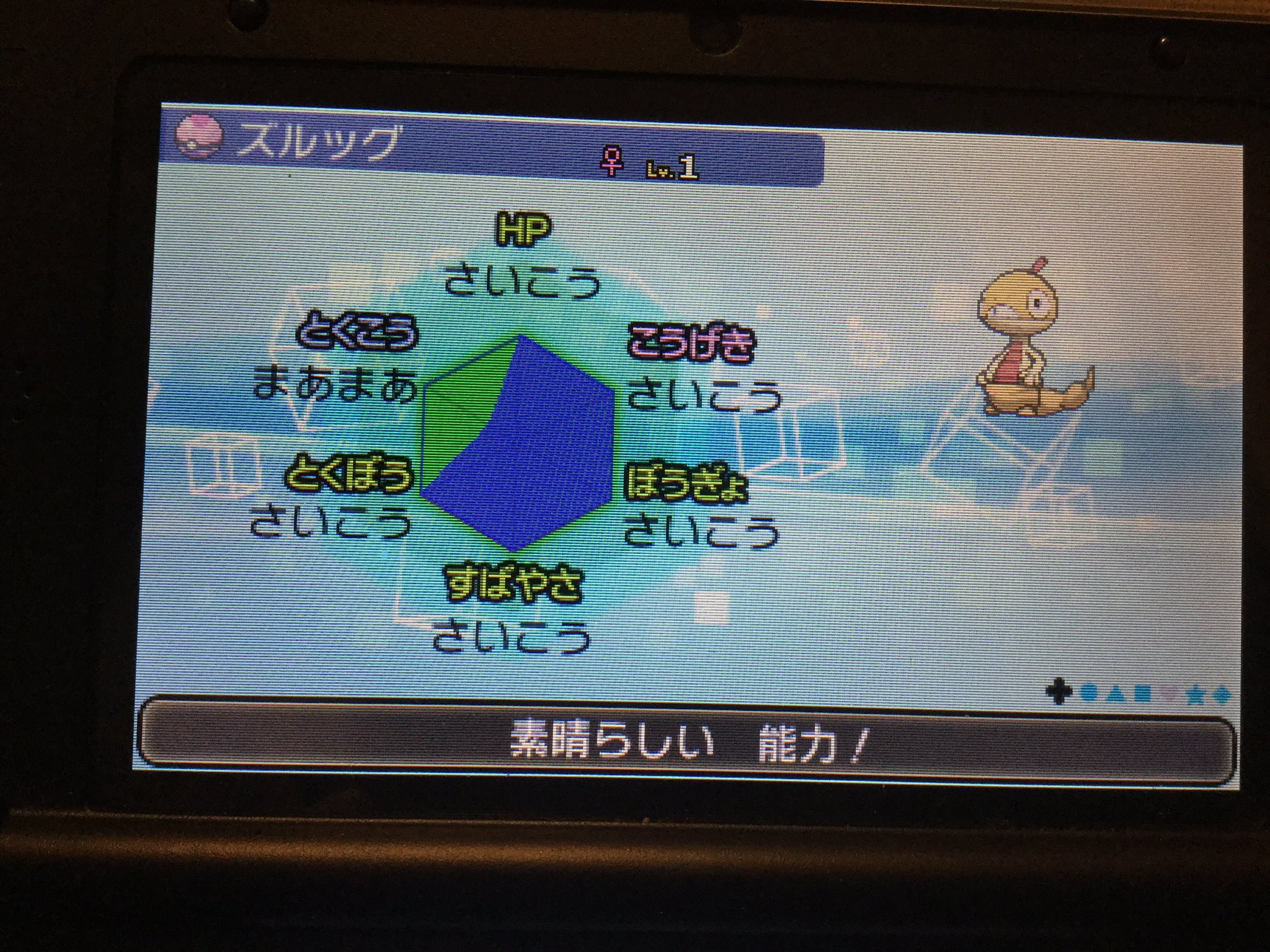 紳士なヒメグマ 5uvxvkd2c5fvw3q Twitter