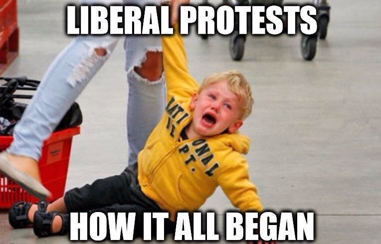 undilutedpoison's tweet photo. Mass triggering here 2day &amp; not just of #Article50! Liberal 'troops' likely b bk on streets in "protest!" 💩😆 #Brexit https://t.co/UF7phQEIbL