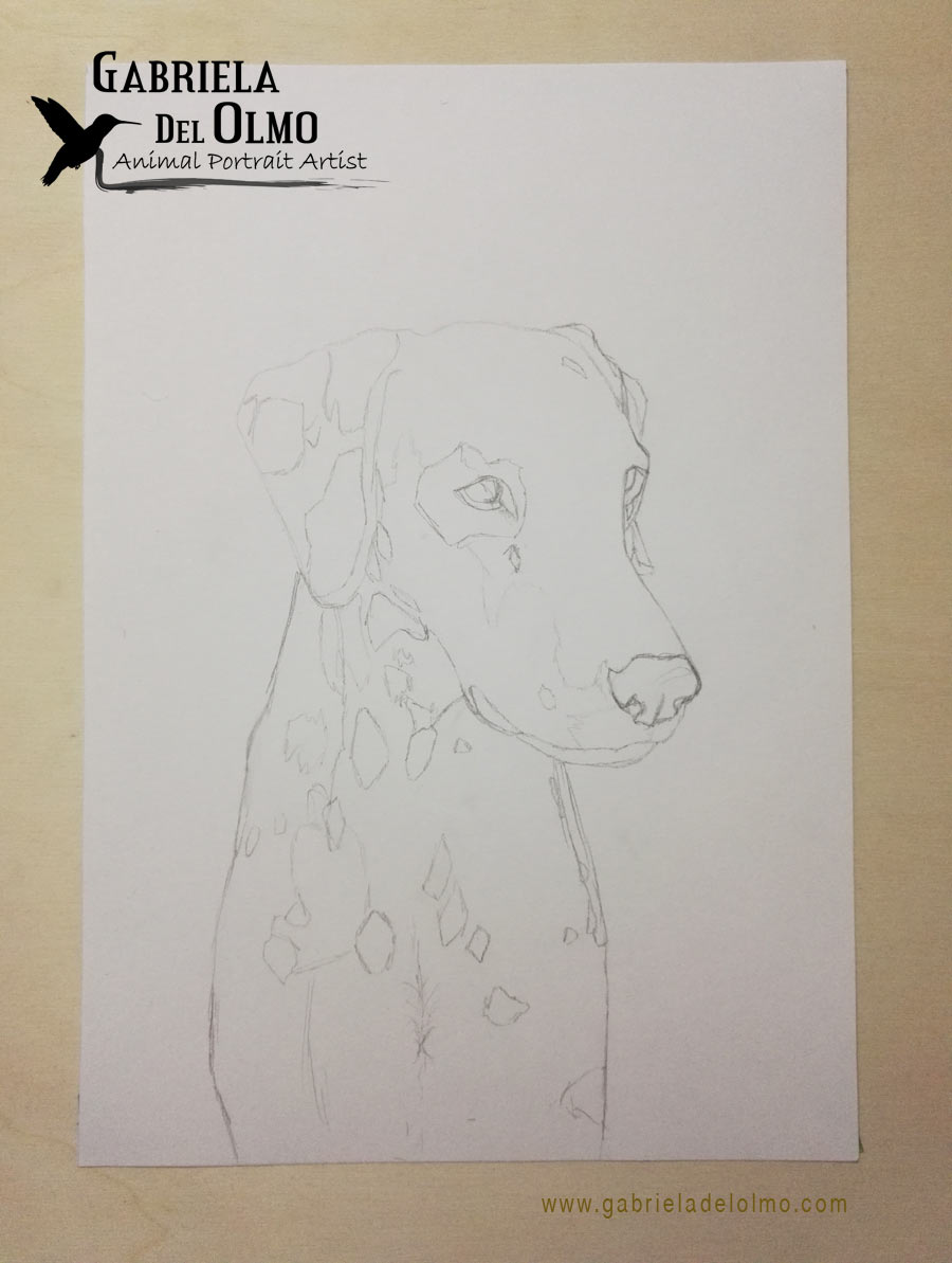 Portrait_Animal's tweet photo. ¡Ya  he comenzado con uno de los encargos! Por ahora solo tengo el boceto inicial a lápiz, pero pronto iré subiendo más  fotos del proceso.🐕 https://t.co/cSIqNIIVoK