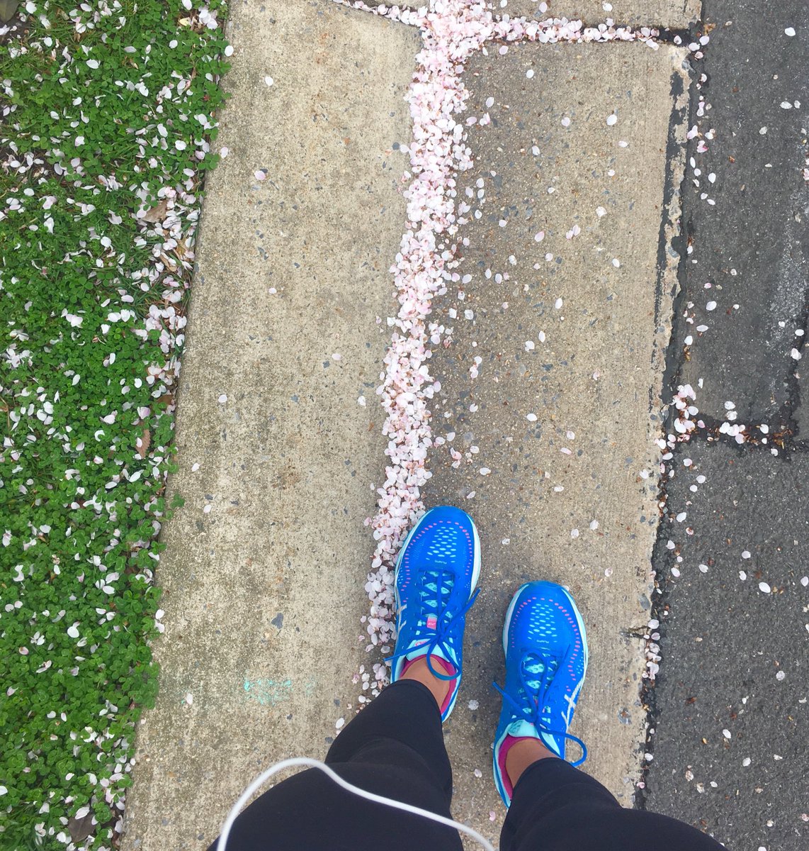thefitCene's tweet photo. A great way to break in new kicks! #cherryblossoms #run #optoutside #thesweatlife #lululemonambassador @ASICSamerica @lululemon https://t.co/W1uzZD8qOu
